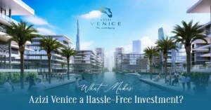 Hassle Free Investment